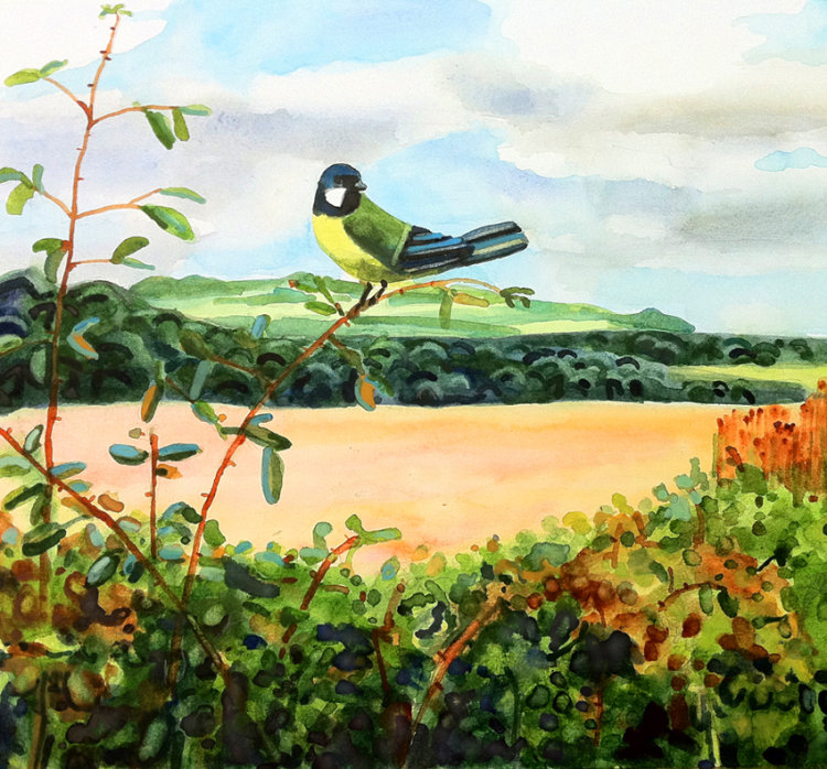 Bird Campsie Hills - Watercolour